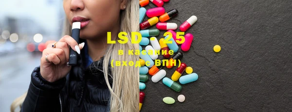 ECSTASY Ельня