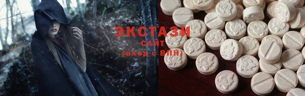 ECSTASY Ельня