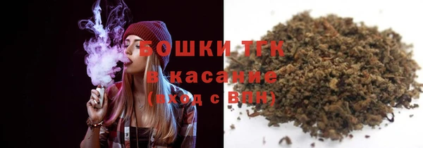 ECSTASY Ельня