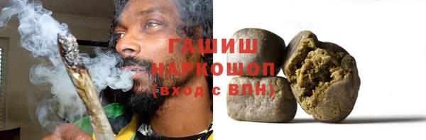 ECSTASY Ельня