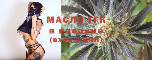 ECSTASY Ельня