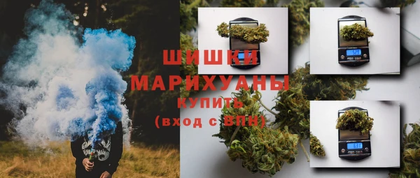 ECSTASY Ельня