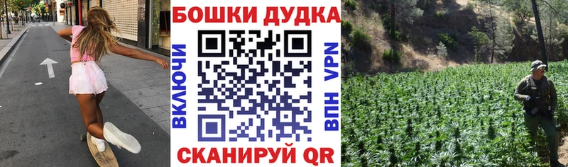 Купить закладки  Лесосибирск  Бошки Шишки White Widow 